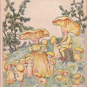 Meet your Posher, Lacey